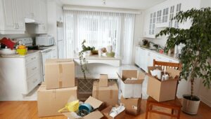 Packers and Movers Alandi Road