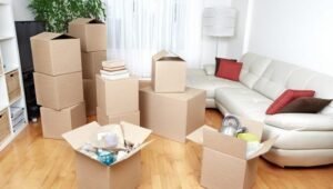 Packers and Movers B.T Kawade Road