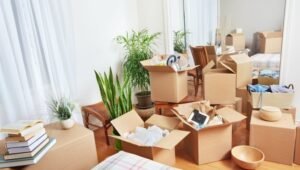 Packers and Movers Baner