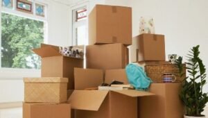 Packers and Movers Bavdhan
