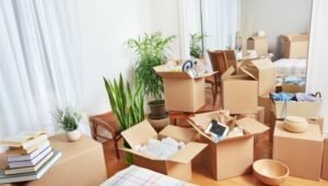 Packers and Movers Bhigwan