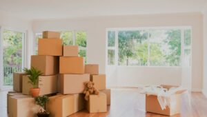 Packers and Movers Hadapsar