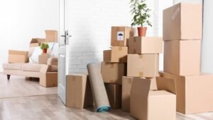 Packers and Movers Keshav Nagar