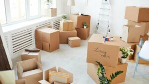 Packers and Movers Mohammadwadi