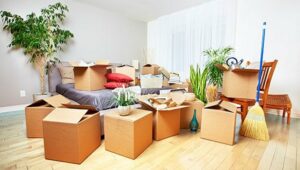 Packers and Movers Moshi