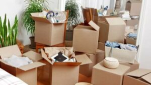 Packers and Movers NDA Road