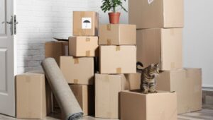 Packers and Movers Nibm Road