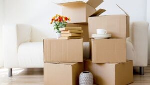 Packers and Movers Pashan