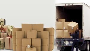 Packers and Movers Rajgurunagar