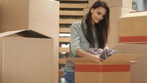 Packers and Movers Shikrapur