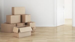 Packers and Movers Spine Road