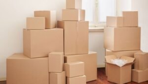 Packers and Movers Viman Nagar