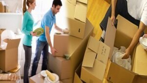 Packers and Movers Vishrantwadi